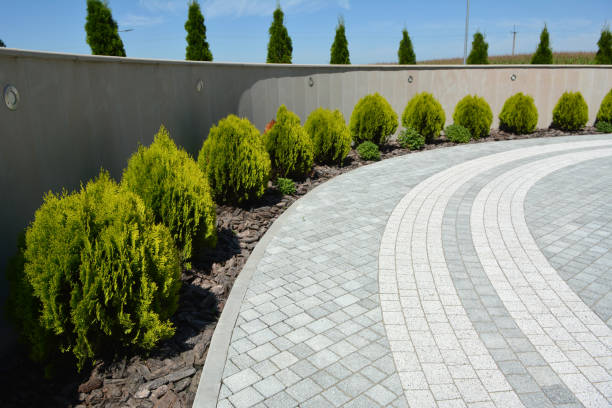 Best Local Driveway Pavers  in Blackshear, GA